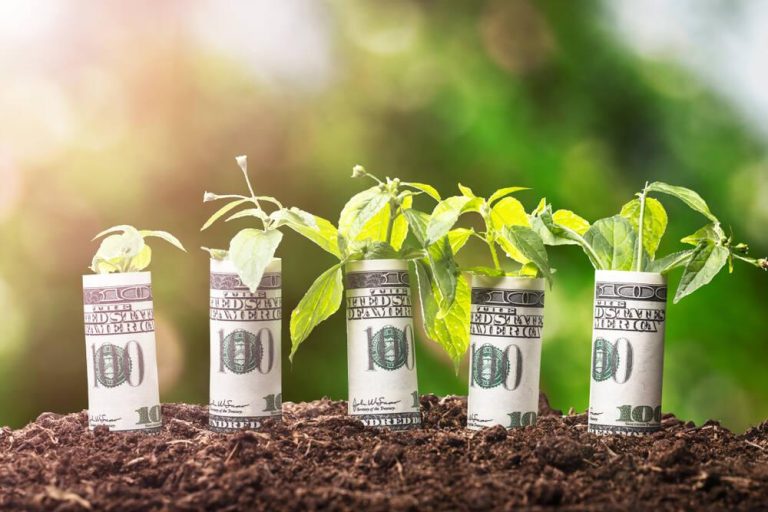 Crafting a Sustainable Long-Term Investment Strategy Success